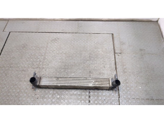 Интеркулер Skoda Fabia 2010-2014