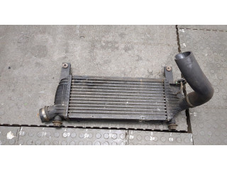Интеркулер Nissan Pathfinder 2004-2014 14461EB360
