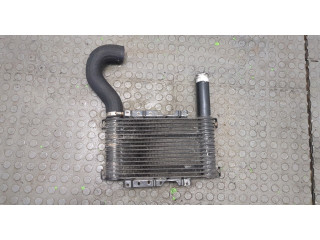 Интеркулер Mitsubishi Montero Sport / Pajero Sport 1996-2008 2.5