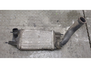 Интеркулер Nissan NV200 144611KB2A, CY178004