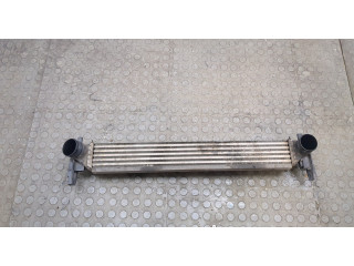 Интеркулер  Seat Ibiza 3 2001-2008   6Q0145804A    