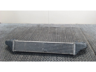 Интеркулер  Mercedes E W211 2002-2009 2.7  a2115001102    