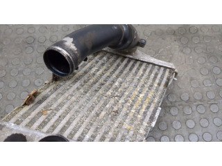 Интеркулер  Audi A8 (D3) 2002-2010       