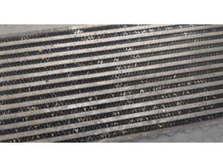 Интеркулер Renault Scenic 2003-2009 1.9 8200115540