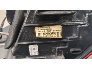 Задний фонарь     A2539063403     