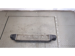 Интеркулер  Mercedes CLS C219 2004-2010   A2115003902    