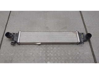 Интеркулер Ford Escape 2019-2022 LX616K775AD