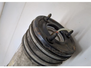 Стойка амортизатора  Mercedes S W220 1998-2006 A2203205013     