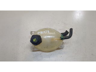 Бачок расширительный Dacia Logan 2016-2020 217107259R