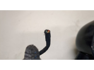 Зеркало боковое Audi TT (8N) 1998-2006 правое 8N0857528, 8N0857536A, 8N0858532, 8N0959577