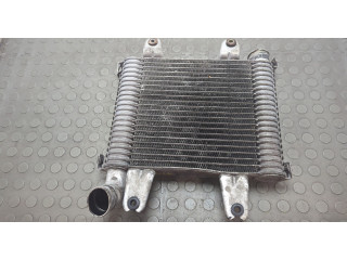 Интеркулер  KIA Carnival 1998-2006       