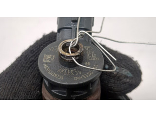 Форсунка топливная Dacia Logan 2012-2016 166008399R