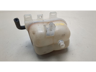 Бачок расширительный  Mini Countryman (R60) 2010-2016 17137823626, 7823626   