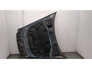 Решетка радиатора  Volkswagen Phaeton 2002-2010          3D0853651H