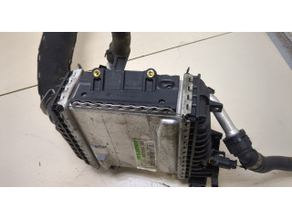 Интеркулер  Mercedes E W213       