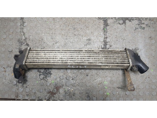 Интеркулер Nissan Kubistar 1.5 8200221885