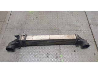 Интеркулер  Mercedes E W211 2002-2009 3.2  2115001102    