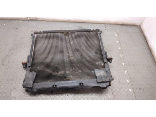 Интеркулер Nissan Pathfinder 2004-2014 14461EB360