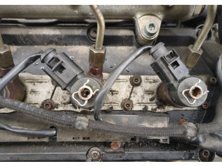 Форсунка топливная  Audi A8 (D3) 2002-2010         