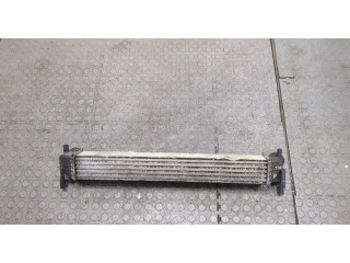 Интеркулер Skoda Fabia 2010-2014