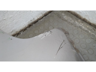 Бампер  Nissan Qashqai 2006-2013 задний   85022JD00H