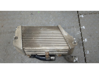 Интеркулер Audi A8 (D3) 2002-2005