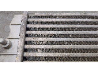 Интеркулер  Volkswagen Phaeton 2002-2010   3D0145788    