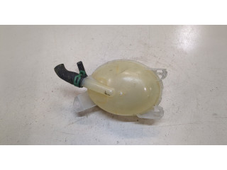 Бачок расширительный Dacia Logan 2016-2020 217107259R