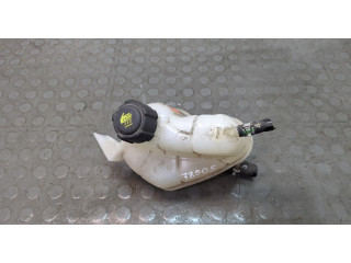 Бачок расширительный  Nissan Qashqai 2013-2022 217114EA0A   