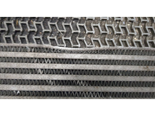 Интеркулер Nissan Qashqai 2006-2013 2.0 14461JD50B