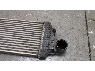 Интеркулер  Mercedes R W251 2005-       