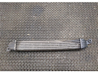 Интеркулер Mini Cooper (R56/R57) 2006-2013 1.6 275127707