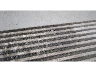 Интеркулер  Jeep Commander 2006-2010   880897V    