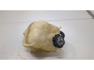 Бачок расширительный  Saturn VUE 2001-2007 10381902   