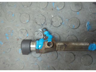 Форсунка топливная  Renault Clio 2005-2009    166009445R, 8200294788     