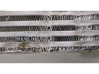 Интеркулер Ford EcoSport 2017-2023