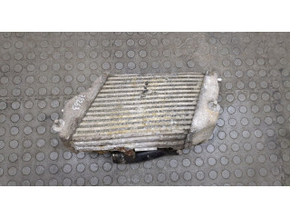 Интеркулер  Audi A8 (D3) 2002-2010       