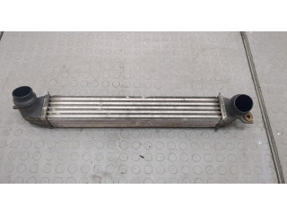 Интеркулер Mini Countryman (R60) 2010-2016