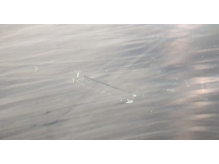 Дисплей мультимедиа Mazda 3 (BP) 2019- B0N6611J0