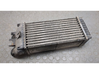 Интеркулер  Peugeot Partner 2002-2008 1.6      