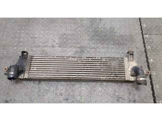 Интеркулер Nissan Qashqai 2006-2013 14461JD50B, G3062005