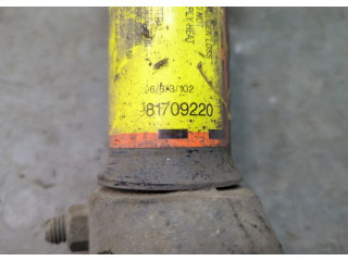 Стойка амортизатора  Cadillac SRX 2003-2009 19256655     