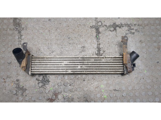 Интеркулер Nissan Kubistar 1.5 8200221885