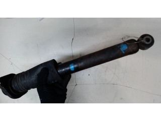 Стойка амортизатора Infiniti EX35 E62101BA0B 3.5 бензин