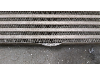 Интеркулер Skoda Rapid