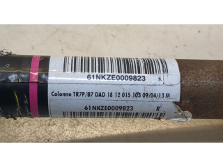 рейка Колонка рулевая Citroen DS4