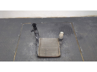 Интеркулер Volkswagen Touareg 2006-2010