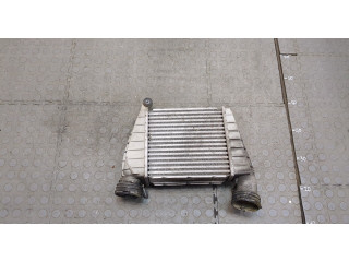 Интеркулер  Volkswagen Phaeton 2002-2010   3D0145788    