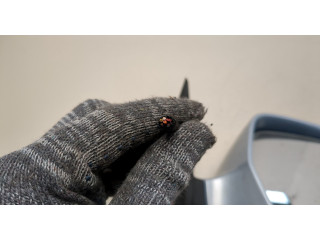 Зеркало боковое  Skoda Octavia (A5) 2004-2013  правое           