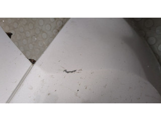 Бампер  Renault Koleos 2008-2016 передний   